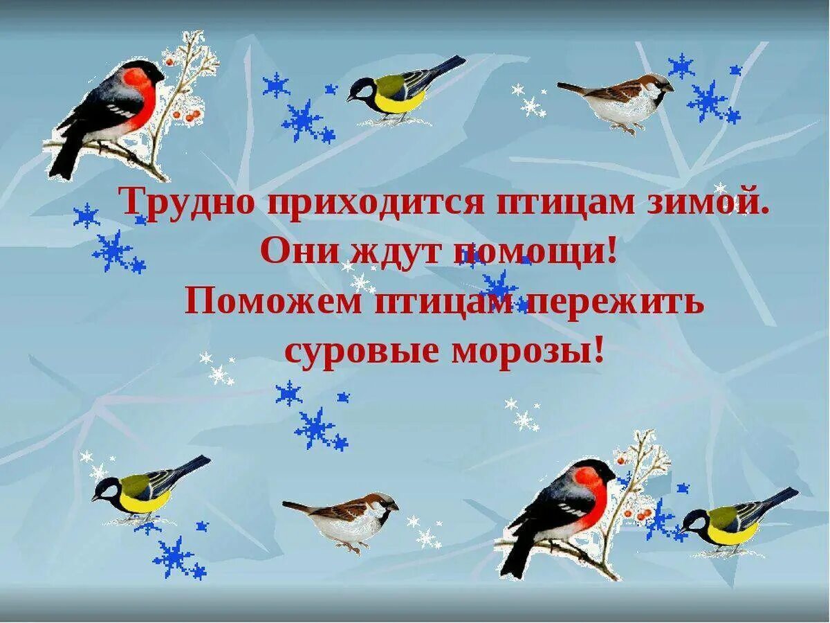День птиц в 2022. День птиц. Мероприятия для детей про птиц. Птицы зимой для детей. День птиц стихи для детей.