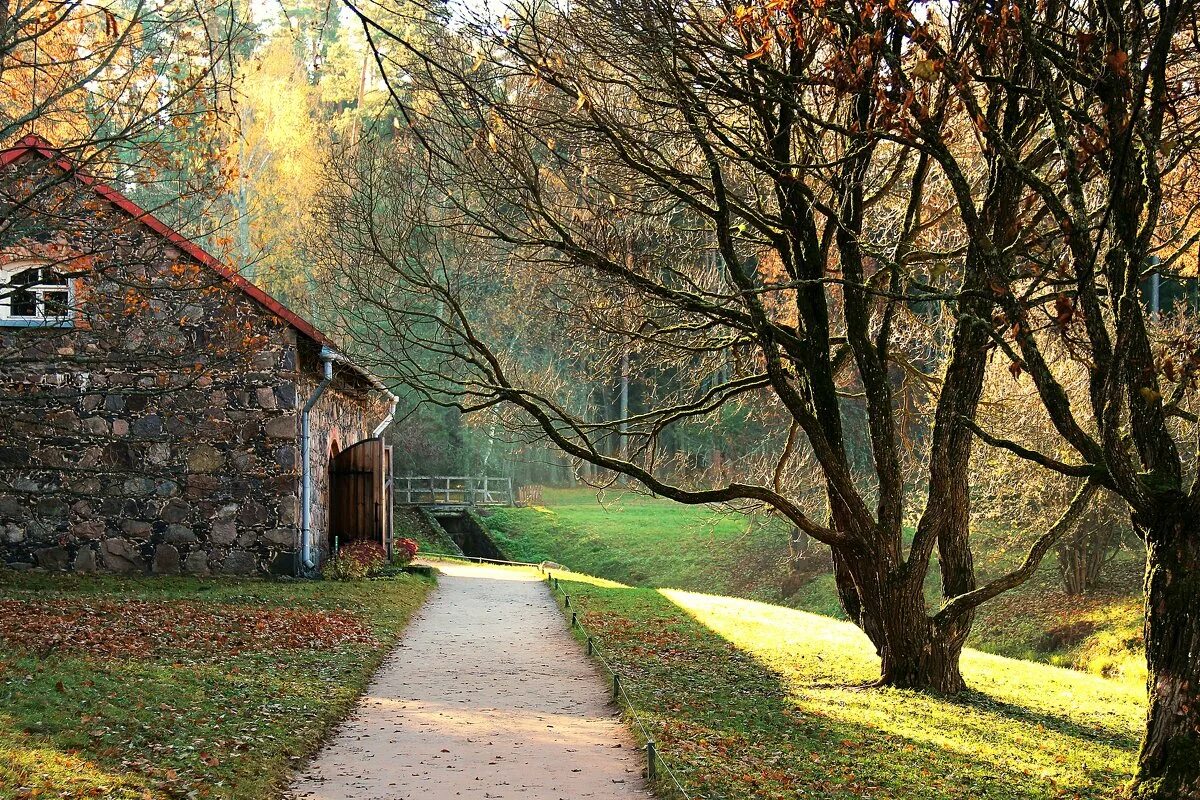 медовая ферма около пушкинских гор. погода пушкинские горы на сегодня. пушкин парк пушгоры. погода пушкинские горы на неделю. изборск пушкинские горы.