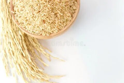 Зародыш риса