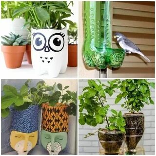 Plant flowers recycle cans collect
