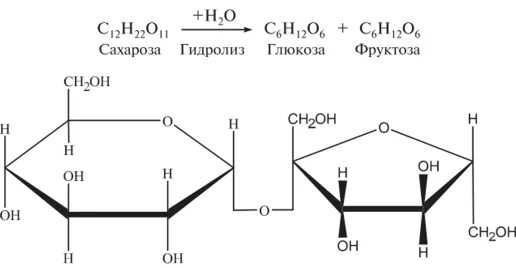 Фруктоза продукт гидролиза. Гидролиз сахарозы до Глюкозы и фруктозы. Схема гидролиза сахарозы. Схема реакции сахарозы. Схема ферментативного гидролиза сахарозы.