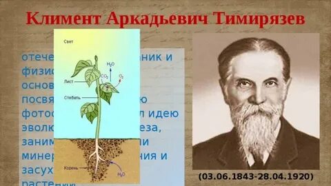 Годы жизни биология