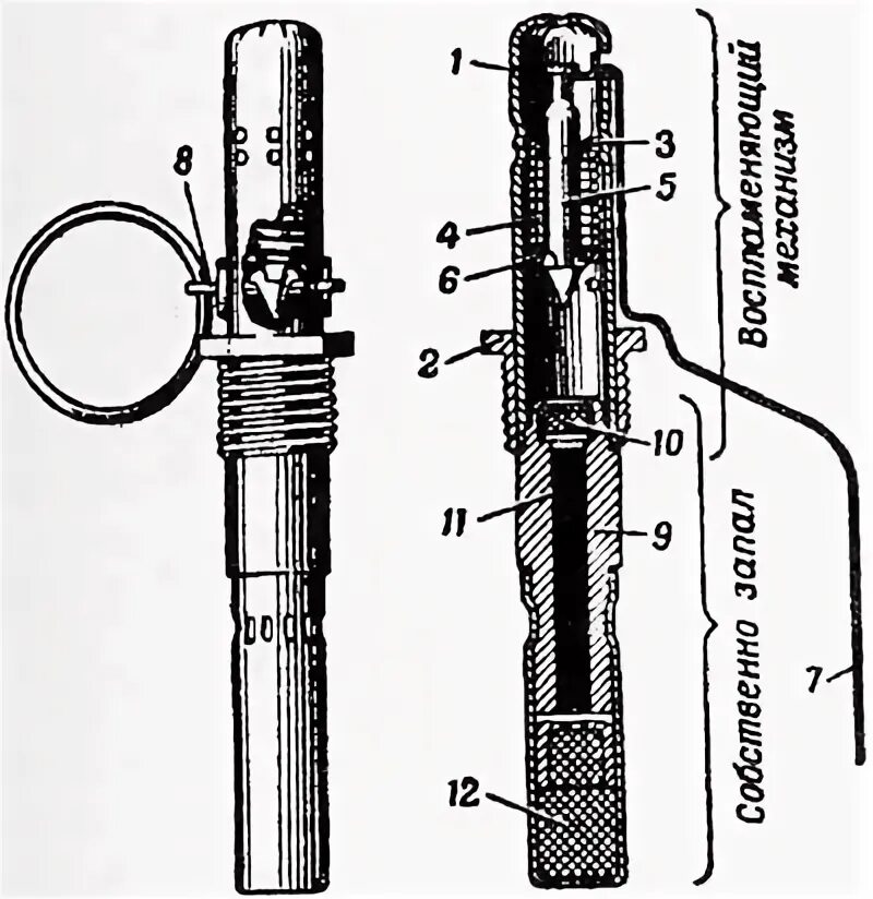 Детонатор гранаты ф1. Взрыватель гранаты ф1. Граната ф1 запал. Запал гранаты ф1.