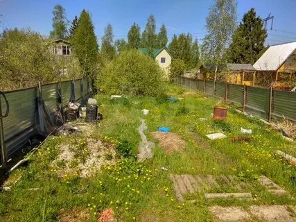 Дубна восход