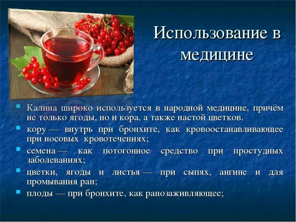 Польза красных ягод. Полезные свойства калины. Чем полезен. Чем полезна Калина. Калина красная полезные.