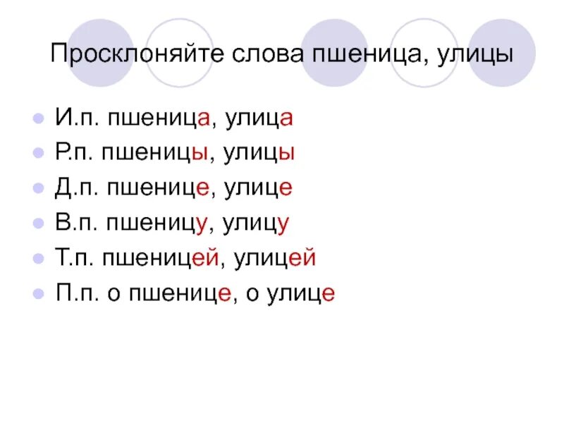 Слова про улицу. Склонение слова улице. Просклоняйте слова. Просклонять слово улица. Склонение слова слово.