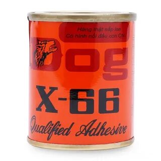 X dog
