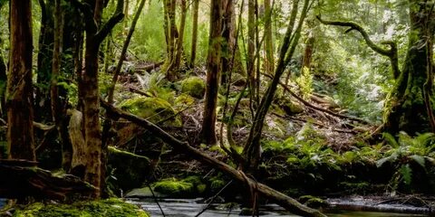 Natural habitat