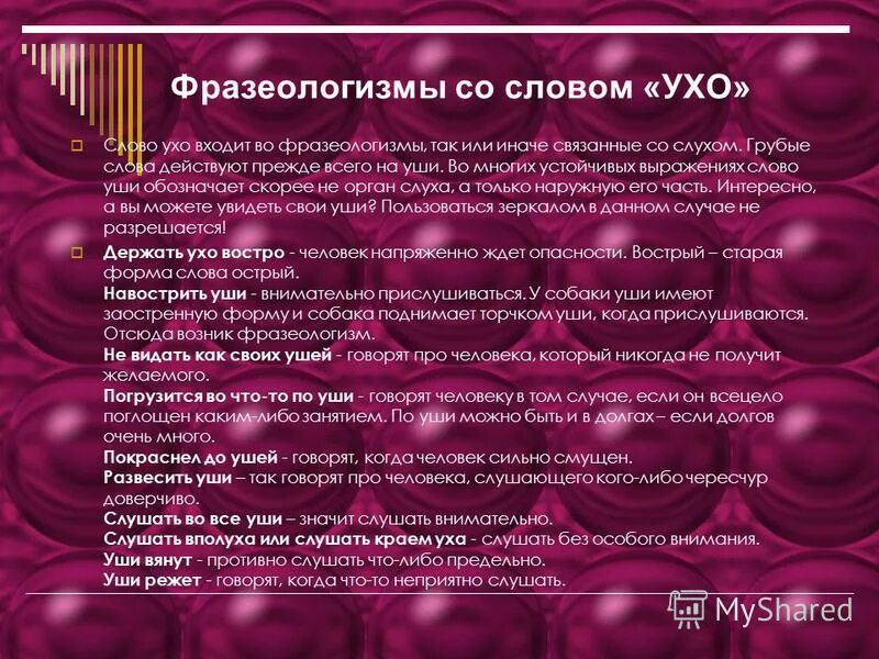 Засохни гербарий. Эвфемизмы в русском языке. Фразы вежливого отказа. Фразеологизмы со словом слово. Грубые слова примеры.