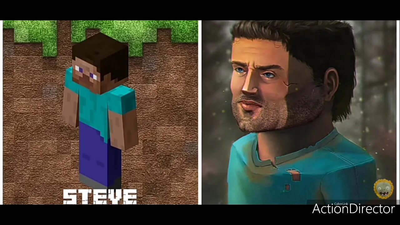 It s not a steve