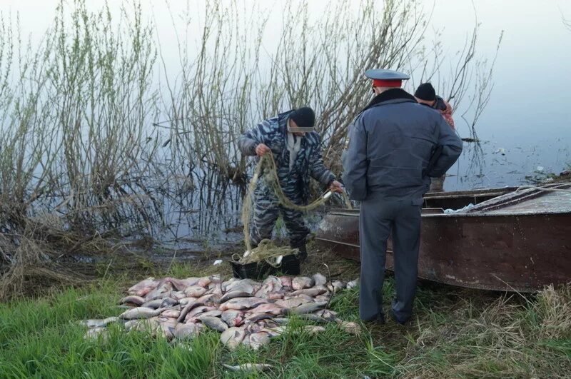 Наказание за ловлю. Рыболовное браконьерство.