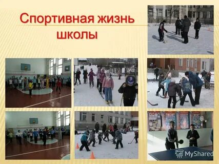 Спортивная жизнь школы