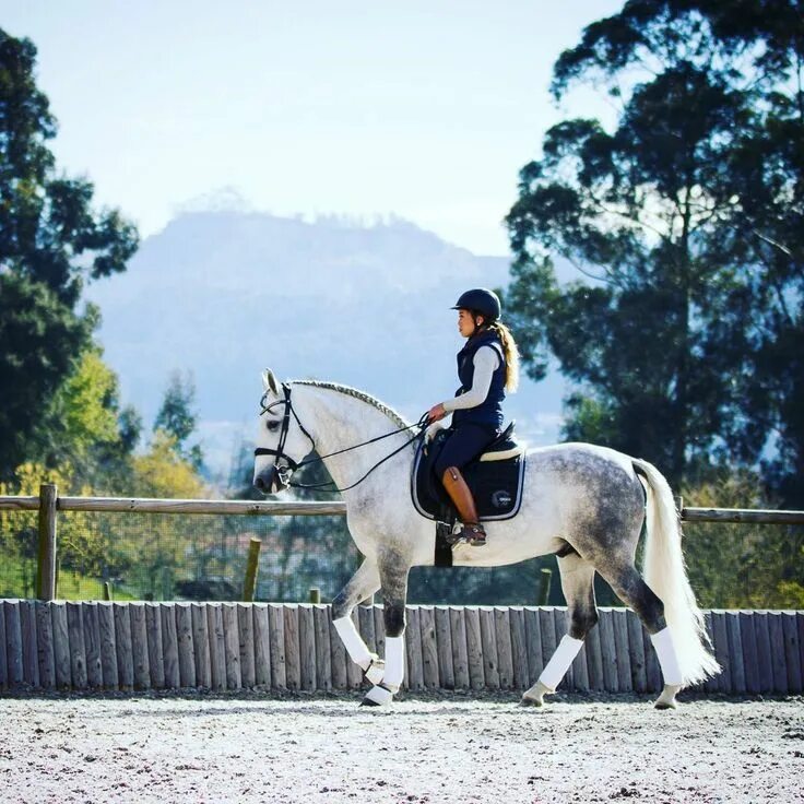 Riding on a white