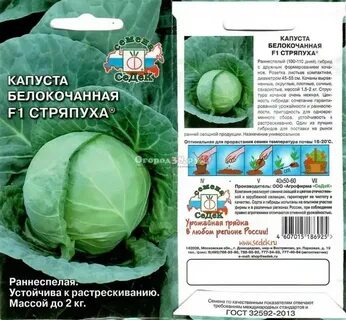 Циклон сорт капусты