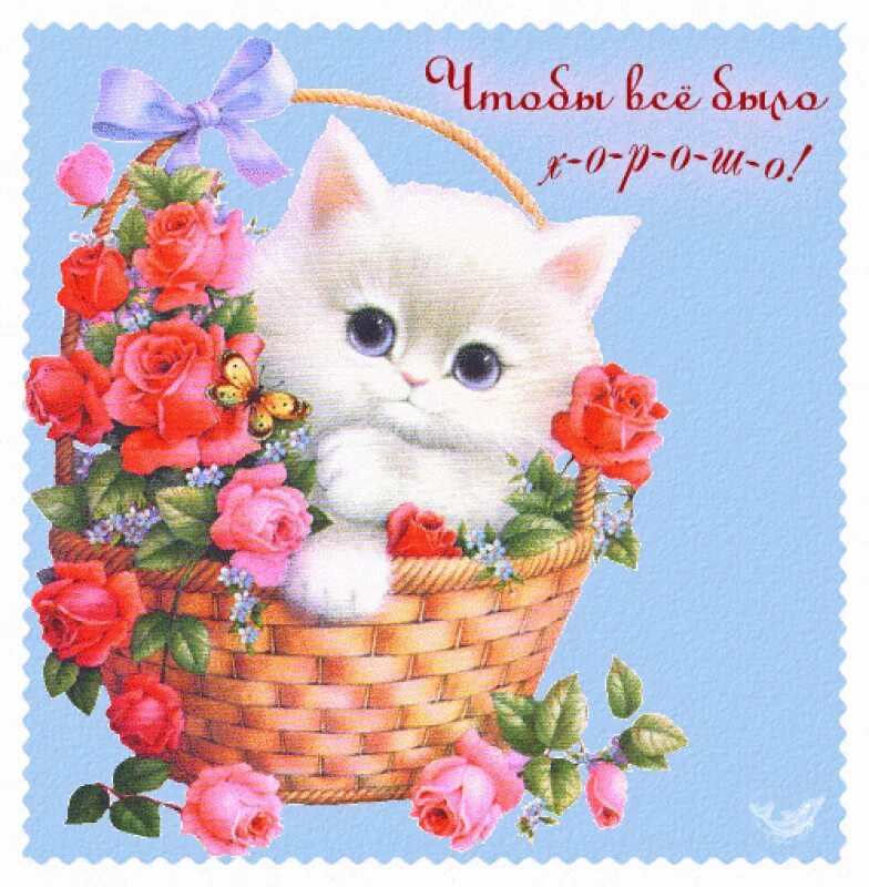Открытки. Разные открытки. Открытки с котятами и цветами. Открытка с днём рождения с котятами