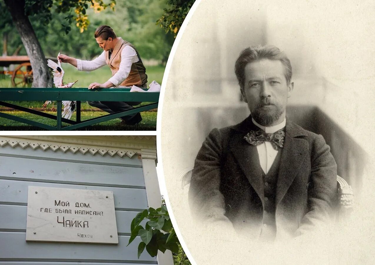 чайка". а. антон павлович чехов медик. чехов антон павлович редкие фото. чехов читает чайку артистам мхт.