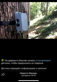 Начал сам устанавливает