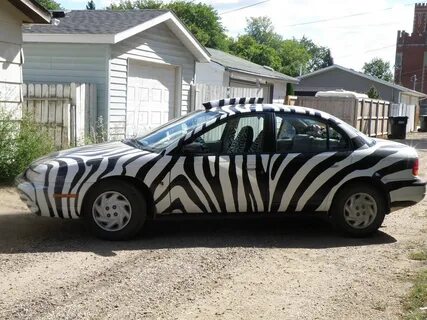 Car zebra