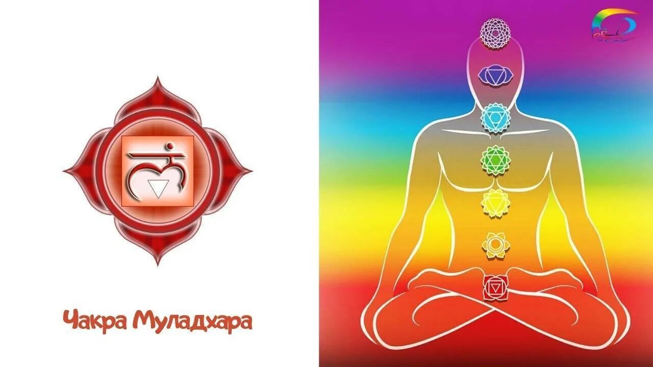 Чакра муладхара раскрытие. Корневая чакра муладхара. муладхара чакра расположение. янтра корневая чакра (муладхара). чакра 1 муладхара у женщин.