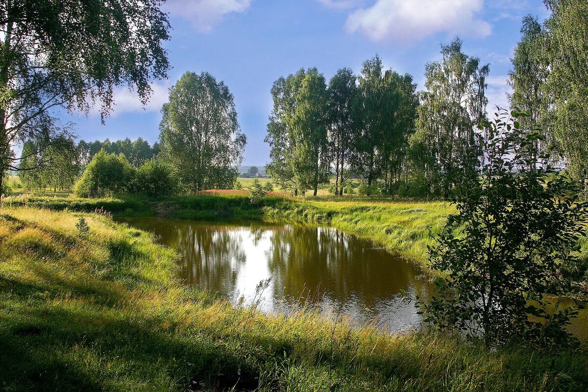 река пьяна нижегородская область. река теша арзамас. луга вологодчины. луга нижегородской области. природный парк «воскресенское поветлужье»4.
