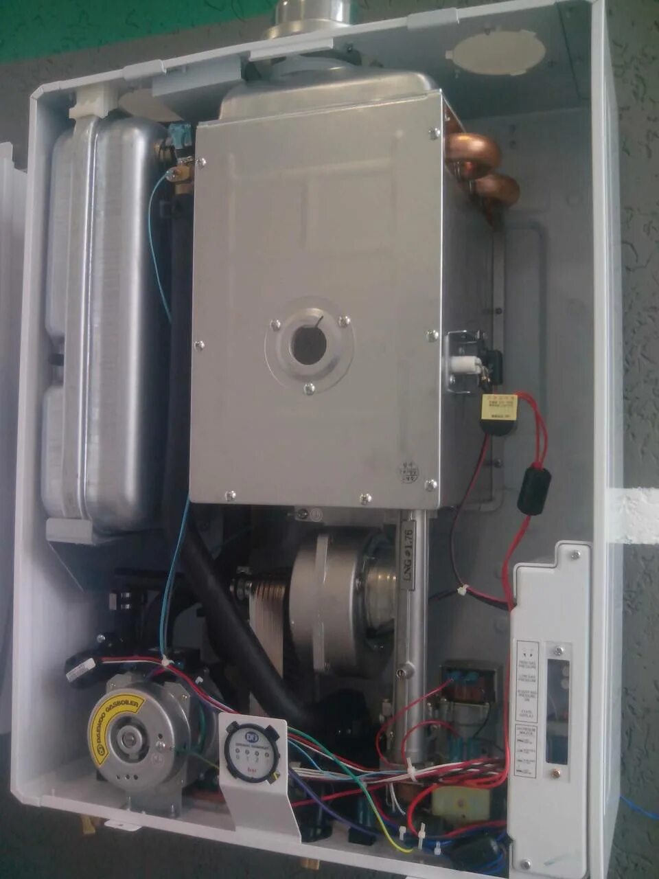 Котел daewoo dgb-100 msc. Газовый котел daewoo dgb-100 msc. Газовый котел daewoo dgb 130 msc. Daewoo 100 msc котел газовый. Котел daewoo 130 msc.