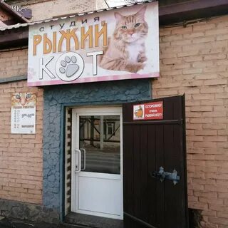 Рождественский 5а