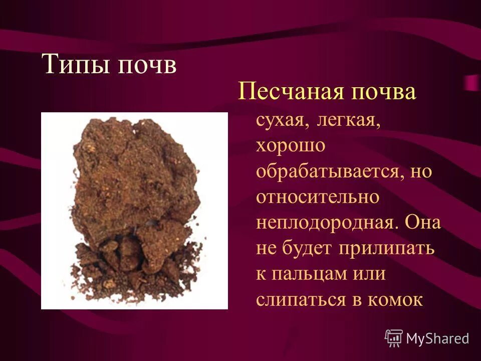 крупнозернистая песчаная почва,супесчаная почва. типы песчаных почв. почва типы почв. глинистая суглинок супесь песчаная. глинистые суглинистые супесчаные и песчаные почвы.