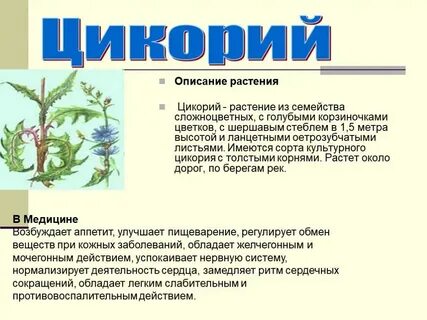 Трава это кратко