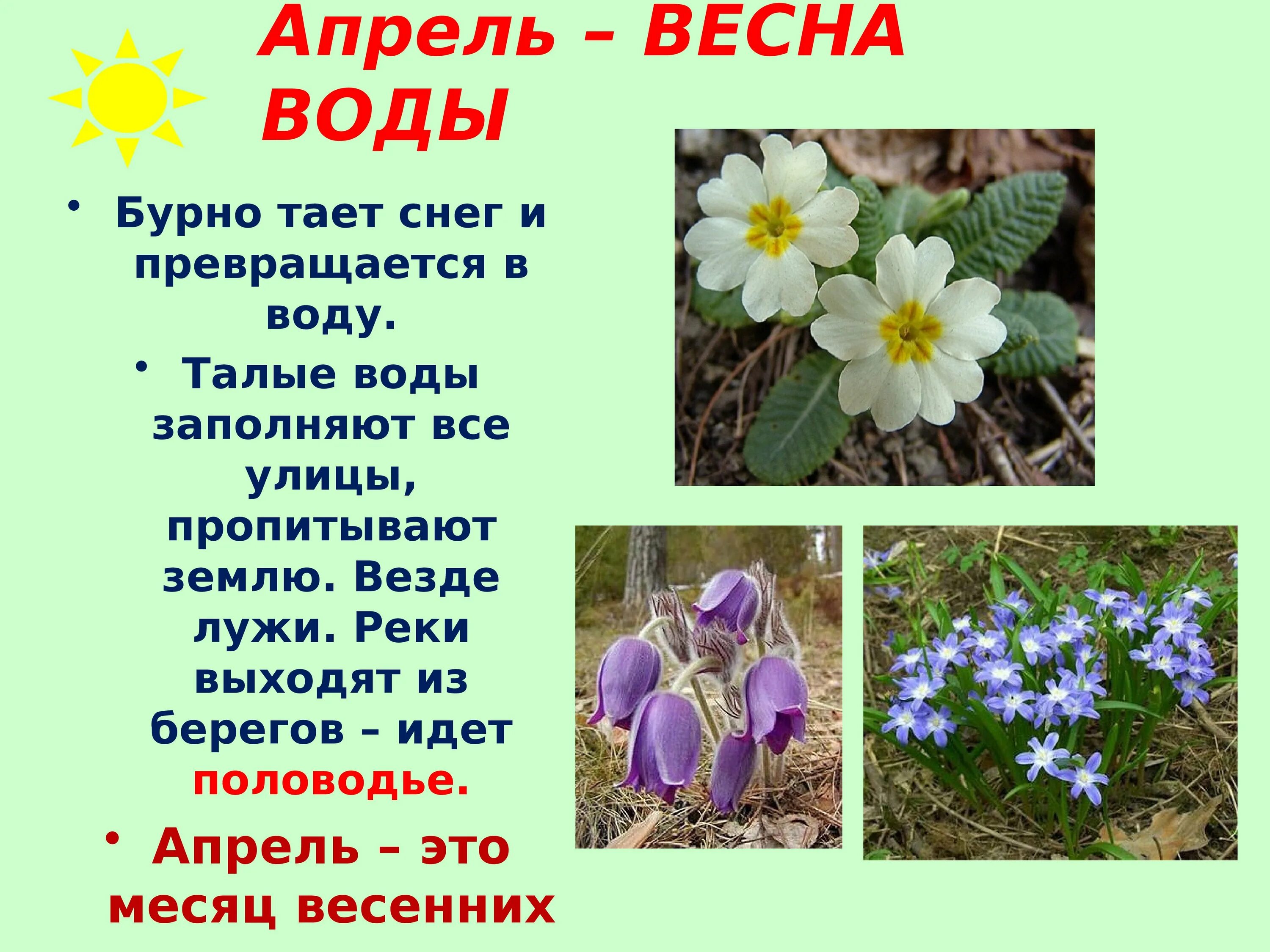 Доклад на тему март. Доклад о весне. Изменения в природе весной в апреле. Проект на тему весенние изменения в природе.