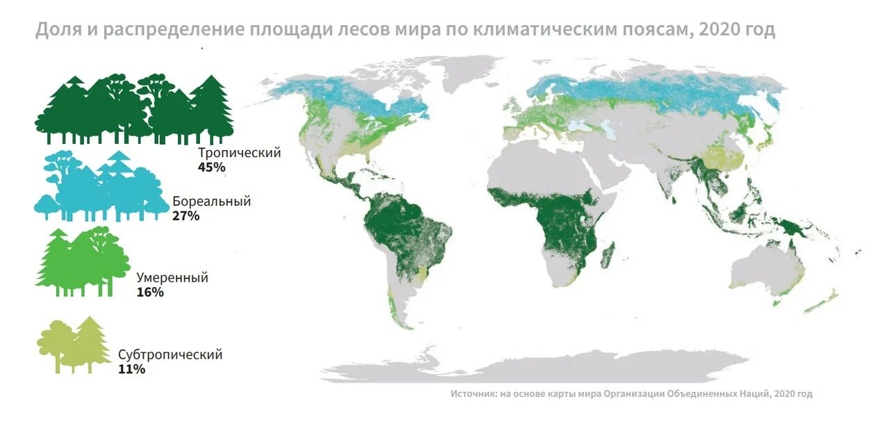 В каких странах есть леса