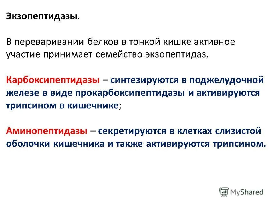 Где начинается расщепление белков. Где начинается расщепление белков