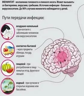 Менингит как можно заразиться