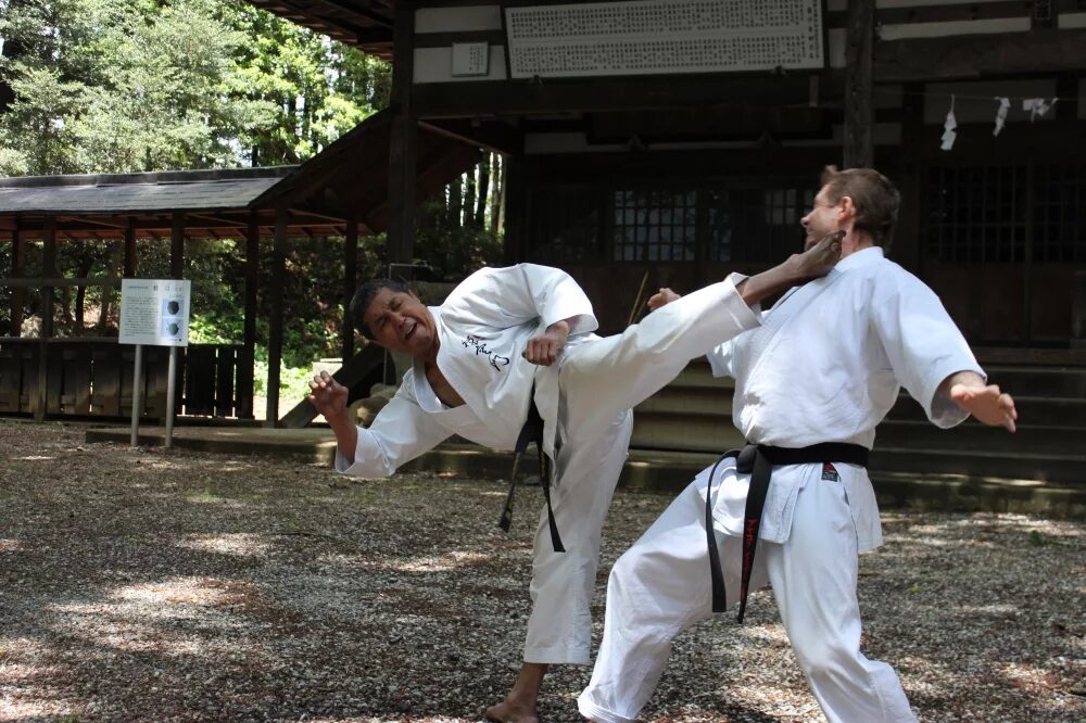 Карате спорт в японии. Хацуо рояма каратэ. Рояма хацуо моя жизнь каратэ. Каратэ японское боевое искусство. Киоко синкай карате.