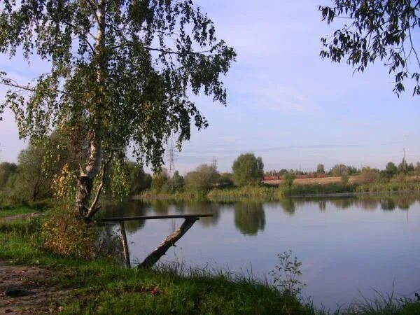 Щербинка пруд парк. Щербинка пруд. Староникольский пруд в щербинке. Староникольский пруд в щербинке. Староникольский пруд.