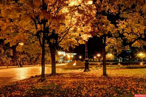 Золотая осень и ночью прекрасна