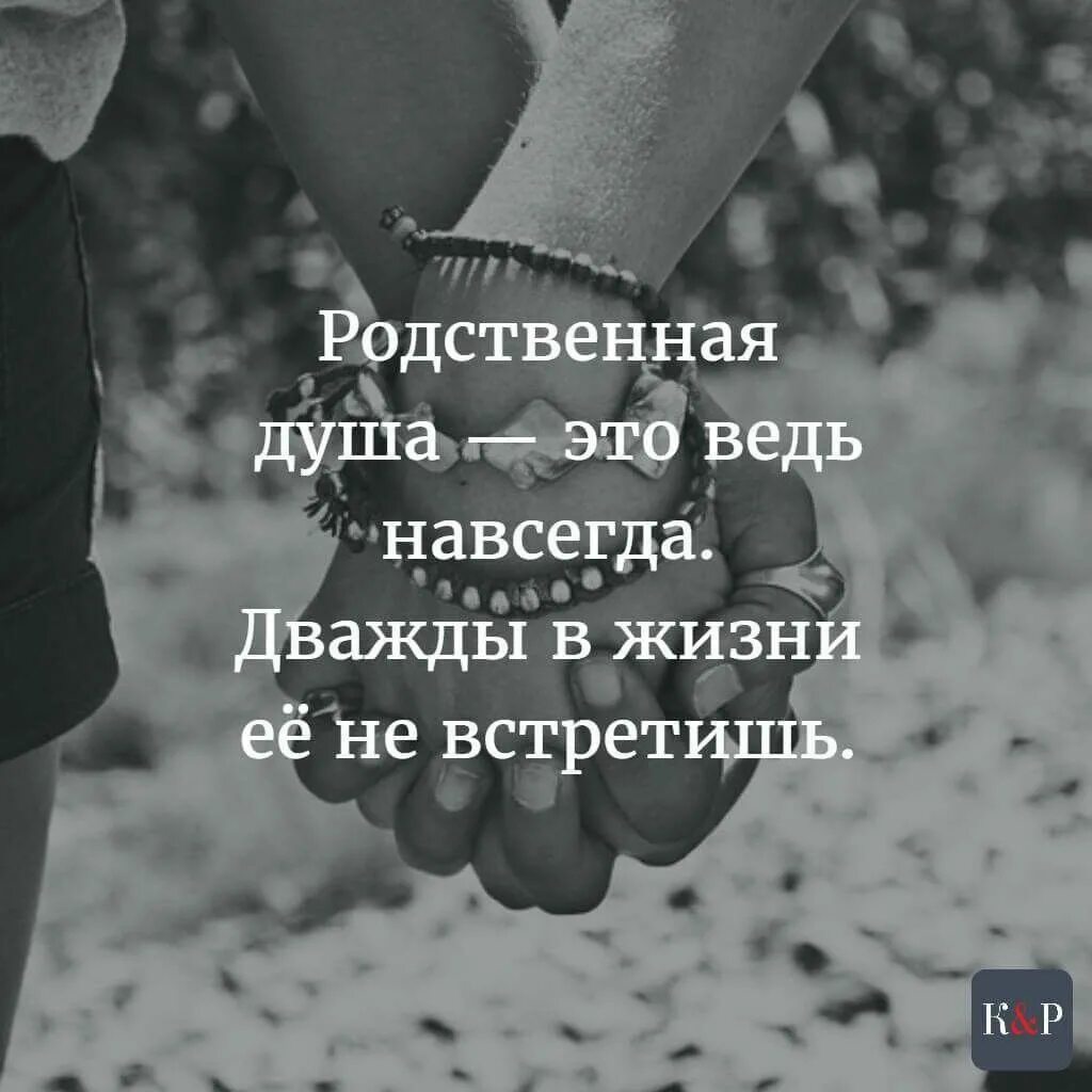 Хочу родную душу. Родственная душа это навсегда. Родственные души цитаты. Афоризмы про родственные души.