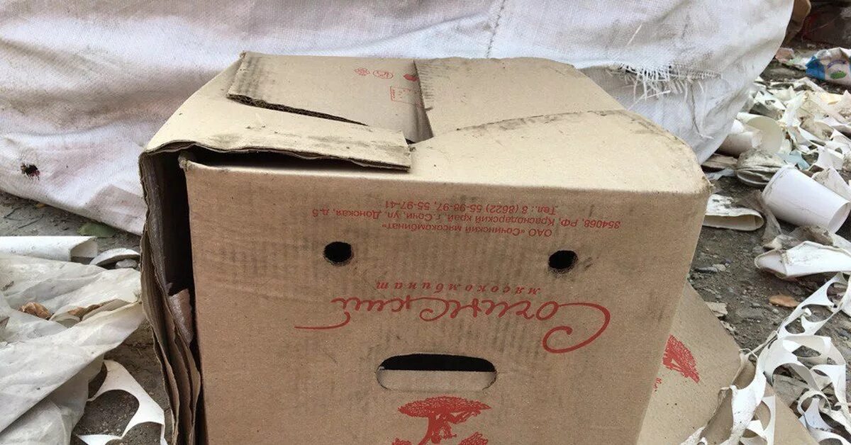 Найдите пропавшую коробку. Коробка на мусорке. Картонная коробка бомжа. Коробка на помойке. Коробки картонные на мусорке.