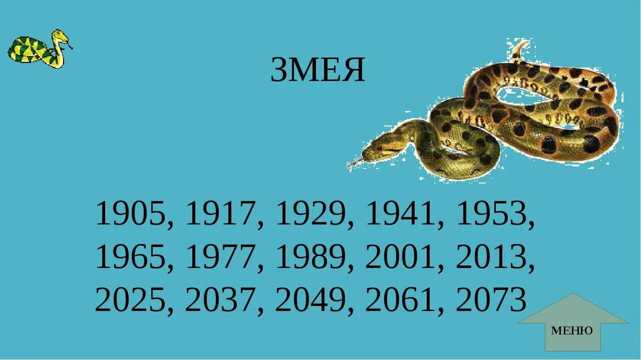 Какого года родились змеи. Когда будет год змеи. Год змеи какие года. Змея какой год. В каком году был год змеи.