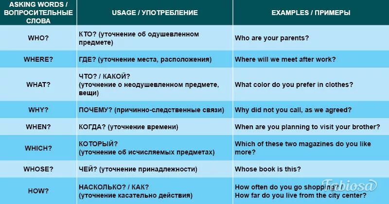 Употребление вопросительных предложений. Whose правило в английском. Who which правило. What who в английском языке правила. Who which where правило.