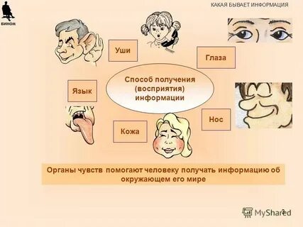 Как эффективно получать информацию