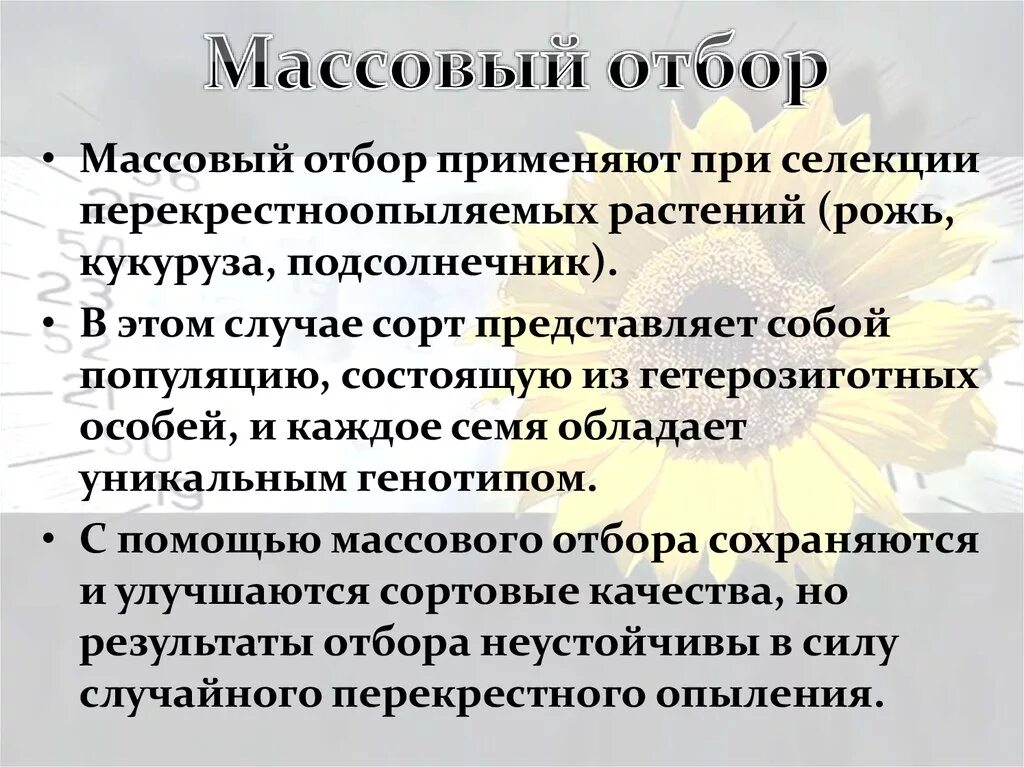 Методы селекции массовый отбор. Массовый отбор в селекции растений. Методы селекции растений массовый отбор. Массовый и индивидуальный отбор в селекции. Массовый отбор гибридов