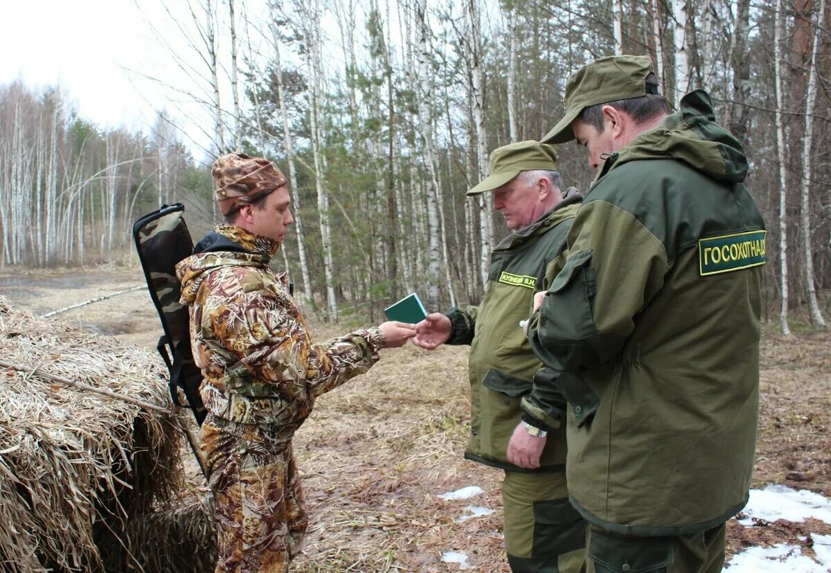 Охотничий надзор. Методы борьбы с браконьерством. Федеральный государственный охотничий надзор. Охотнадзор.