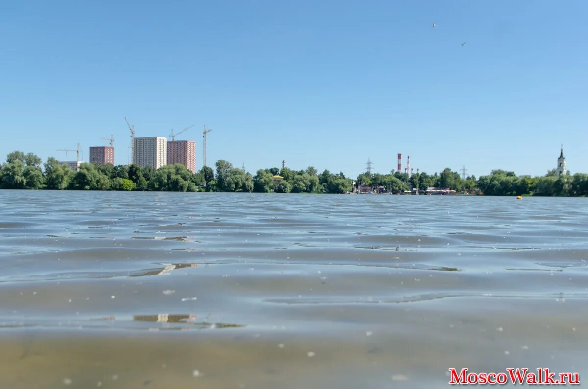 Белое озеро новокосино. Святое озеро москва косино. святое озеро косино ухтомский. святое озеро новокосино. святое озеро в косино пляж.