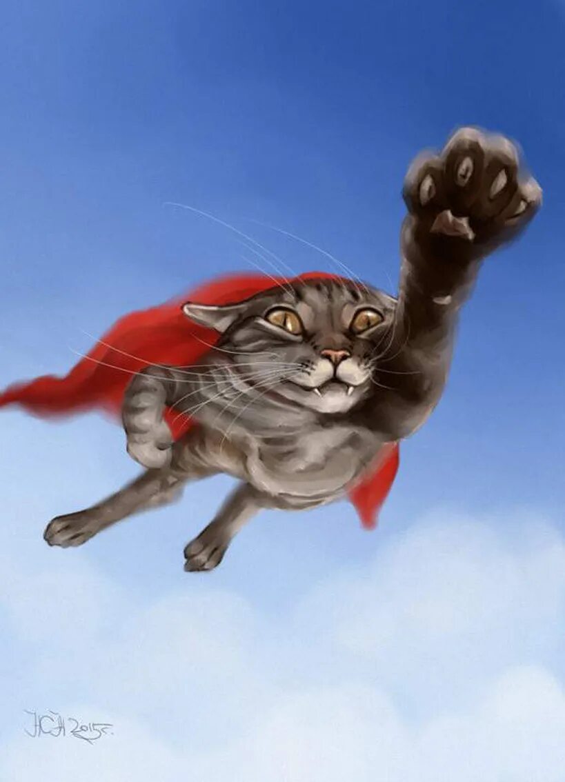Супер летай. Супер кошка. кот летит. летающий кот супермен. кот супермен летит.