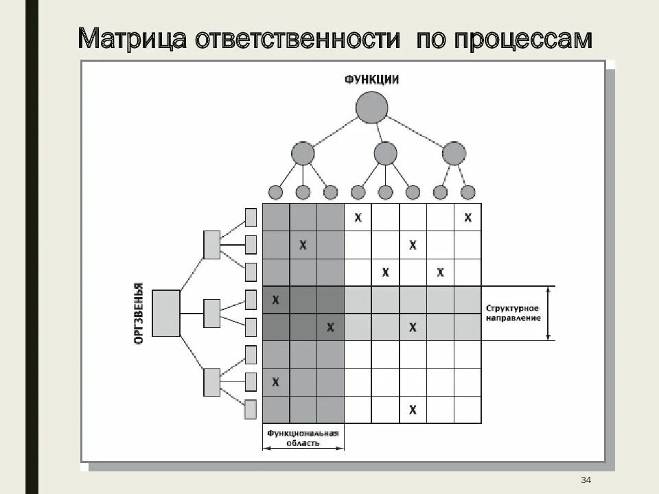Распределение функционала. Матрица функциональной ответственности. матрица распределения функционала. матрица распределения функций управления в организации. структурная схема организации и матрица ответственности.