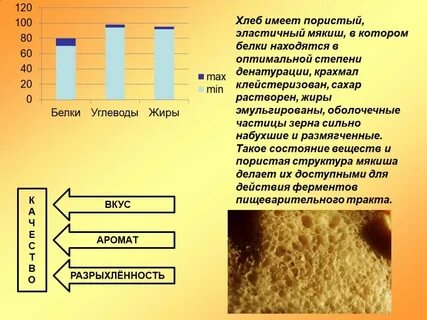 Почему хлеб пористый