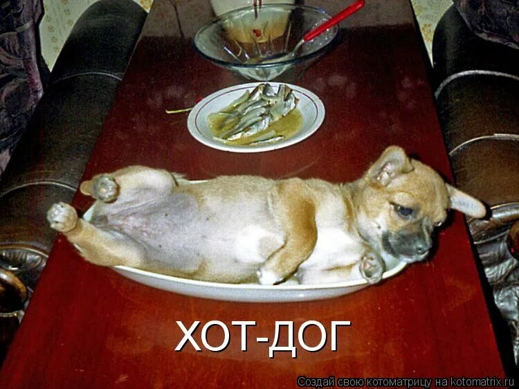 доброе утро котики. пора просыпаться картинки. решила качать пресс встала в 6. никак не встать. врагу не сдаётся наш гордый варяг прикол.