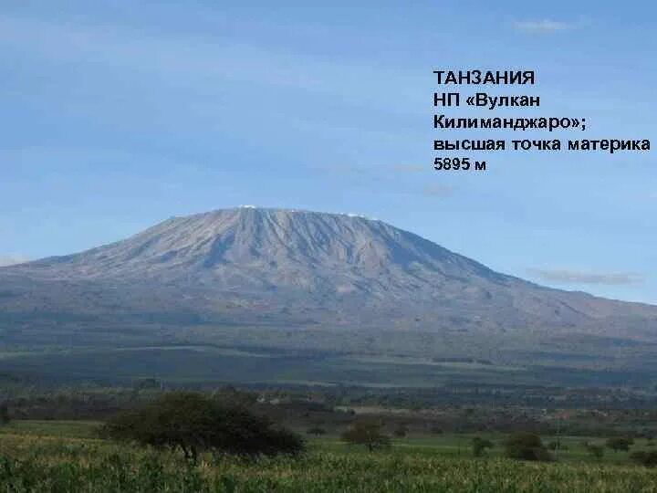 Вулкан самая высокая точка материка. Высота Килиманджаро в метрах. Самые высокие вулканы на материках. Шампунь Килиманджаро 5895.