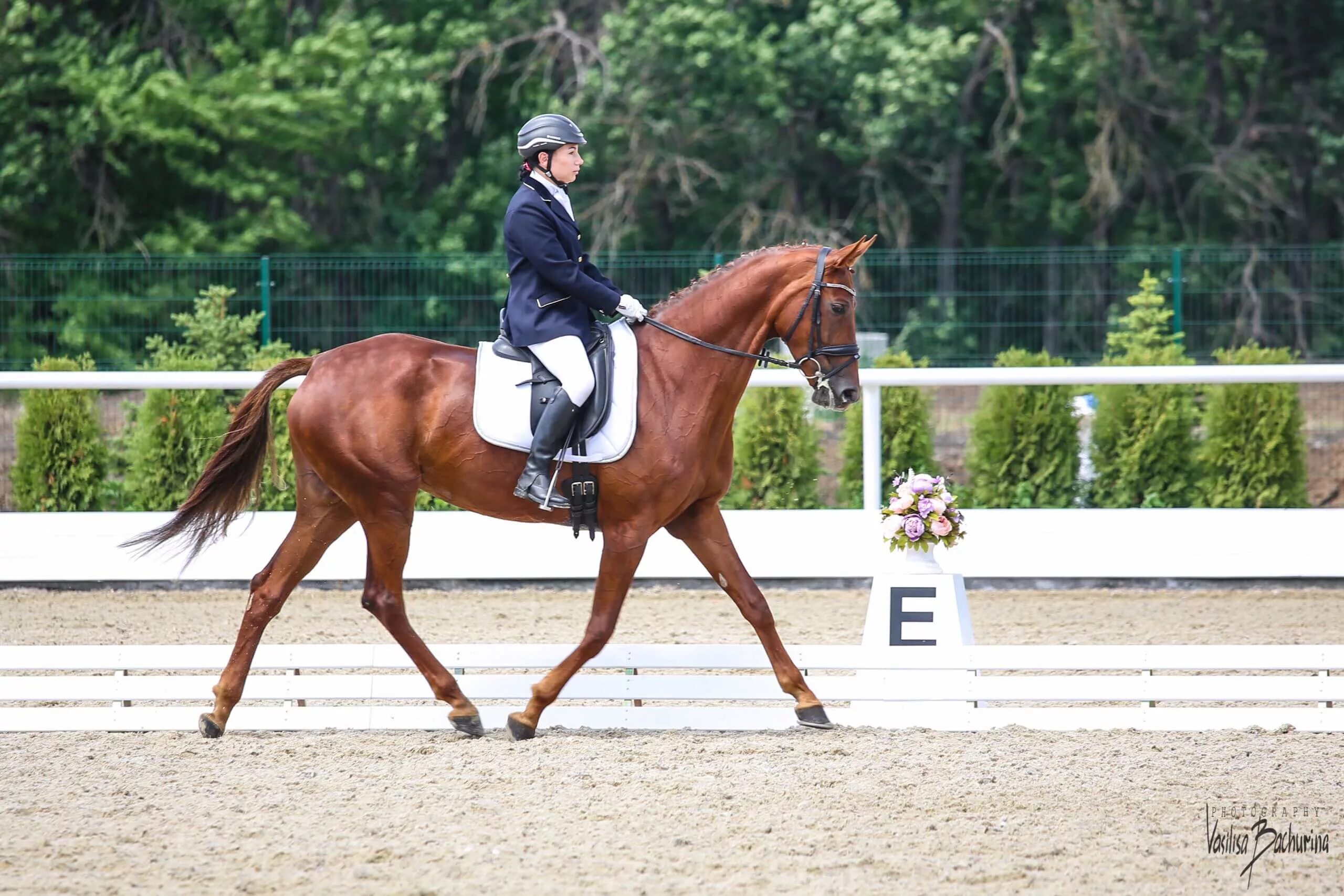 Кск хорс. КСК Голден Хорс. КСК Golden Horse, Таганрог. КСК золотое сечение Завидово. КСК Golden Horse Ростовская область.