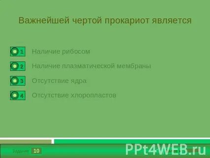 Какие из перечисленных органов является
